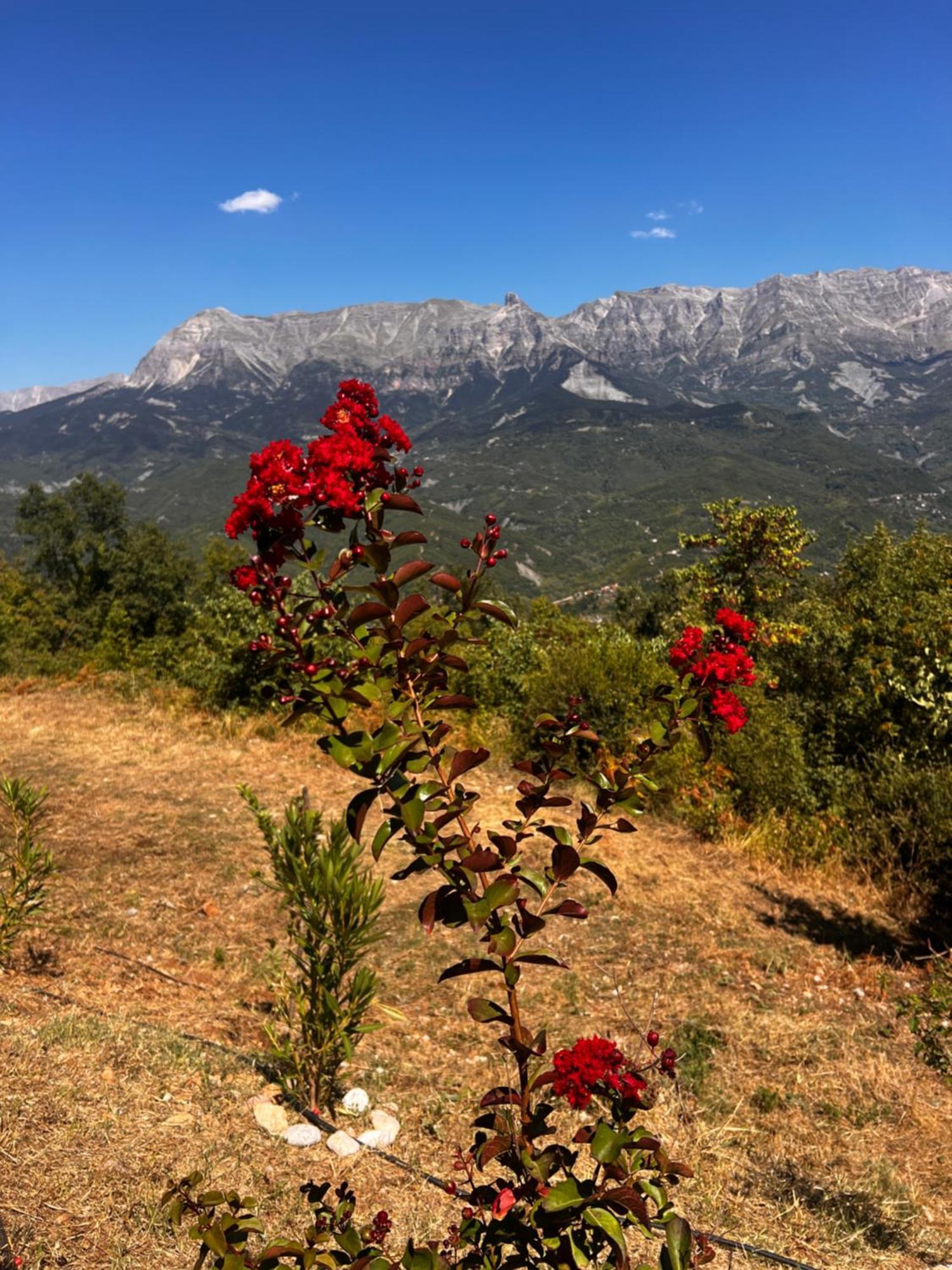 Plaka  Tovouno旅馆 外观 照片