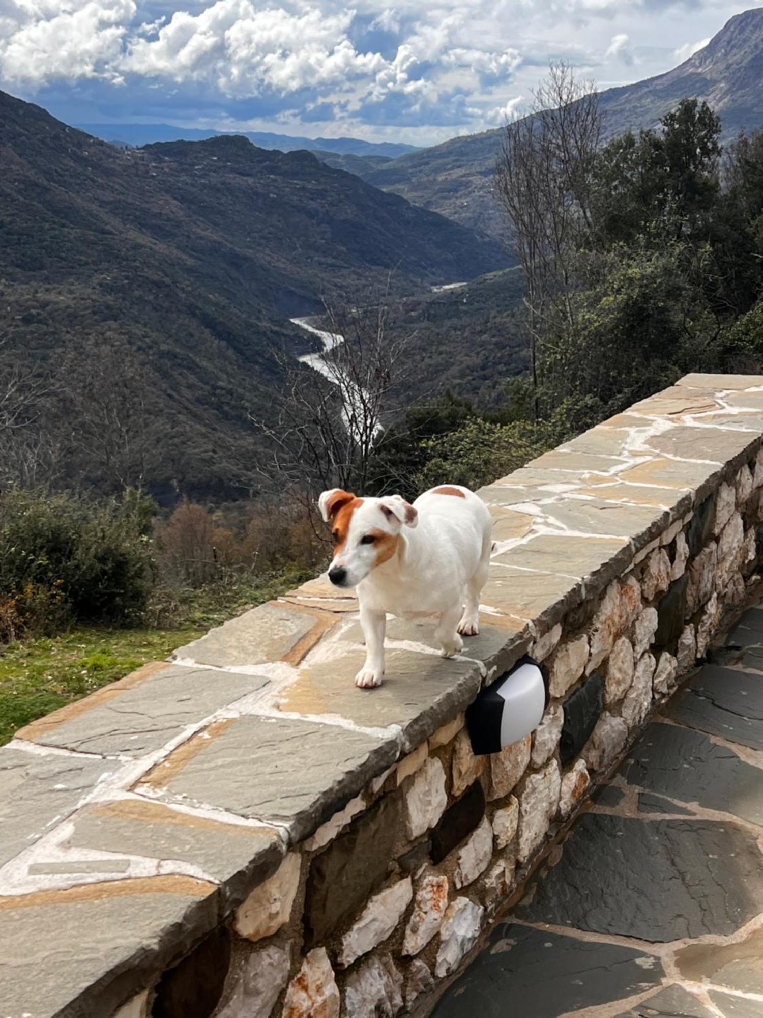 Plaka  Tovouno旅馆 外观 照片